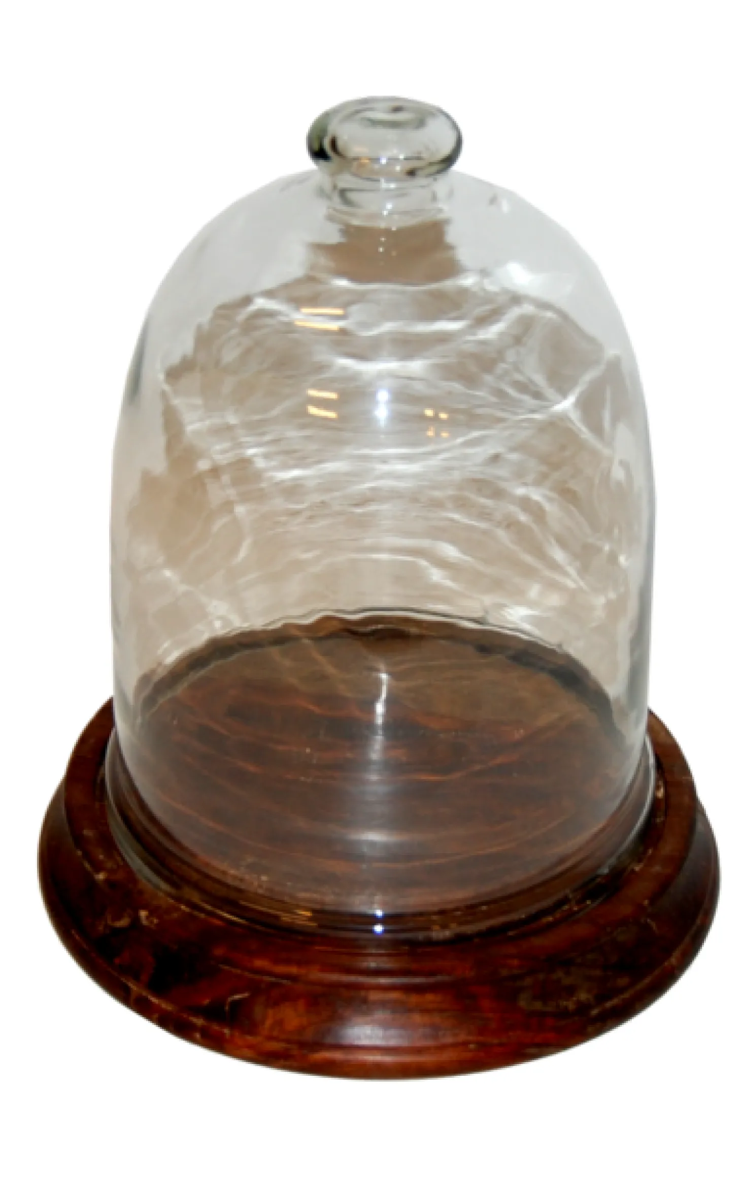 + Glasglocke + Holzplatte d 29,5 cm