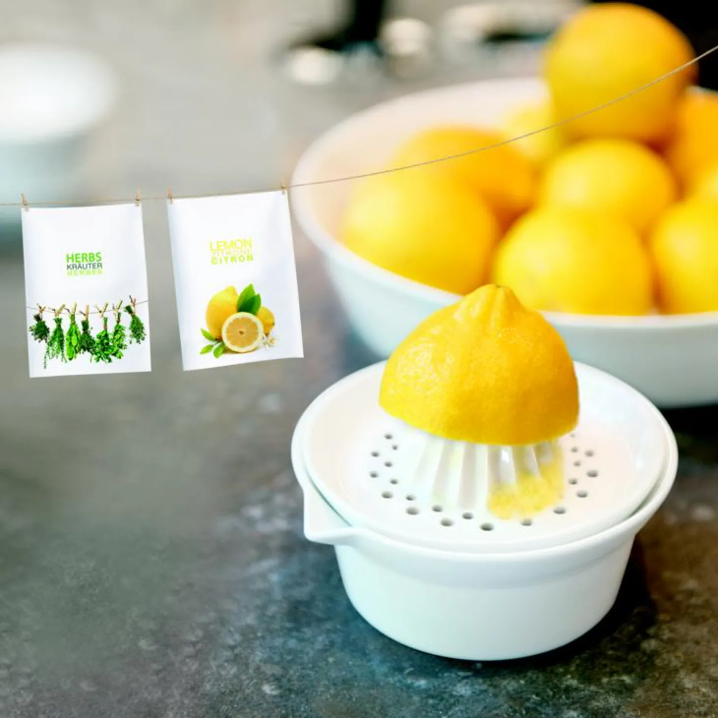 ASA Selection 250° C plus - Zitronenpresse