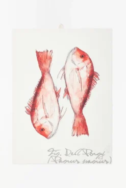 Batela Geschirrtuch Dorade