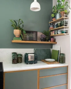 Dualit Classic Toaster Premium 2-Schlitze Eukalyptus