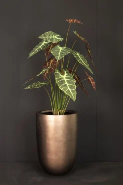 Fleur Ami Alocasia - Elefantenohr Kunstpflanze 66 cm