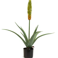 Fleur Ami Aloe Vera Kunstpflanze, blühend 63 cm