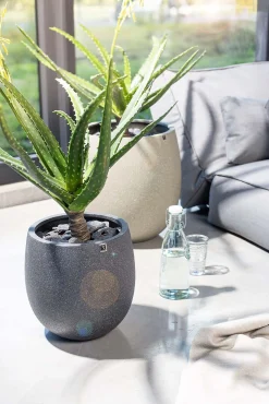 Fleur Ami Blühende Aloe Kunstpflanze