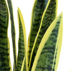 Fleur Ami Bogenhanf - Sansevieria trifasciata Kunstpflanze Höhe 95 cm