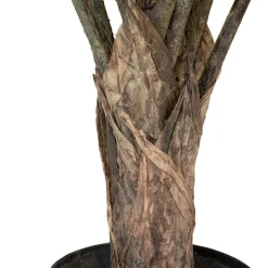 Fleur Ami Calathea Kunstpflanze, UV Stabil, Höhe 70 cm