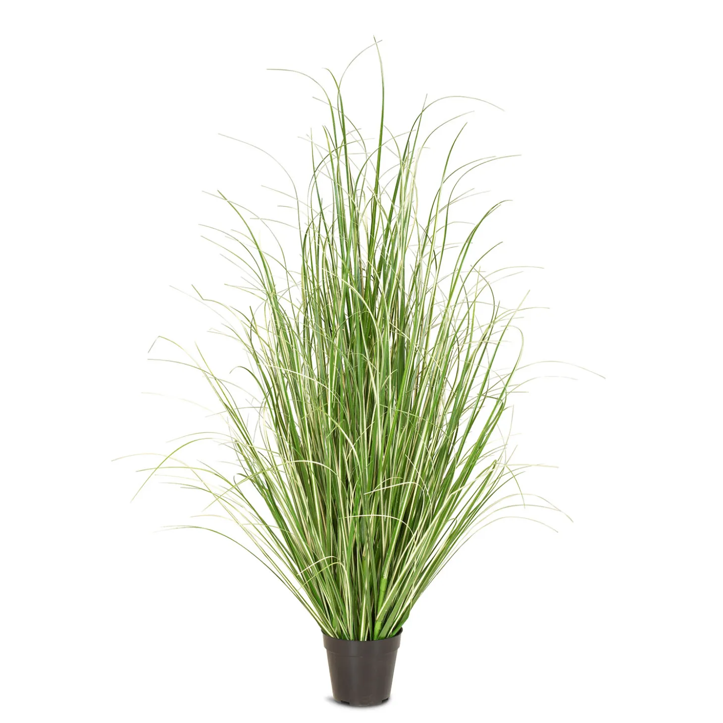 Fleur Ami Chinaschilf Variegatus Kunstpflanze, Höhe 120 cm