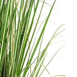 Fleur Ami Chinaschilf Variegatus Kunstpflanze, Höhe 120 cm