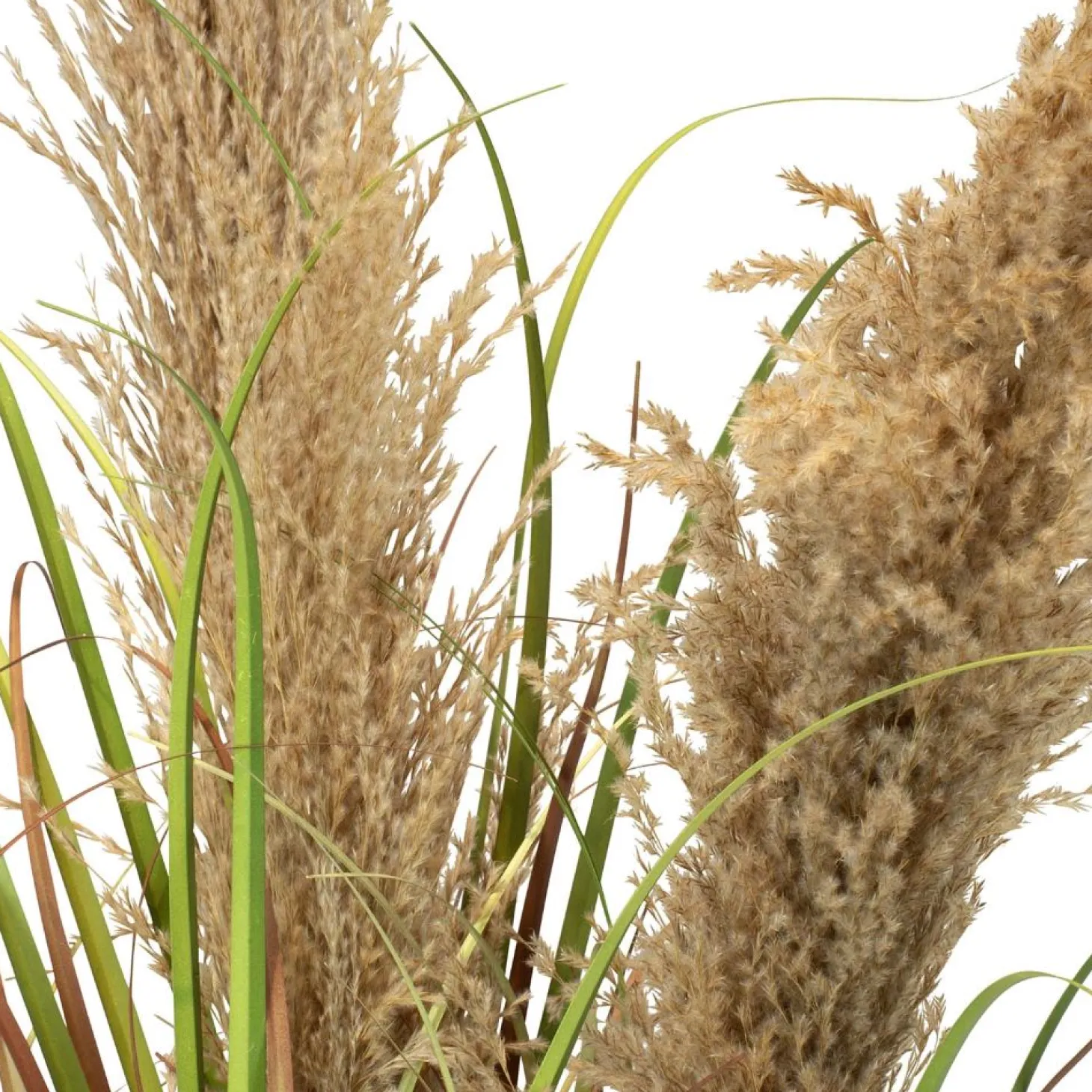 Fleur Ami Cortaderia - Pampasgras Kunstpflanze, Höhe 100 cm
