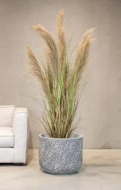Fleur Ami Cortaderia - Pampasgras Kunstpflanze, Höhe 100 cm