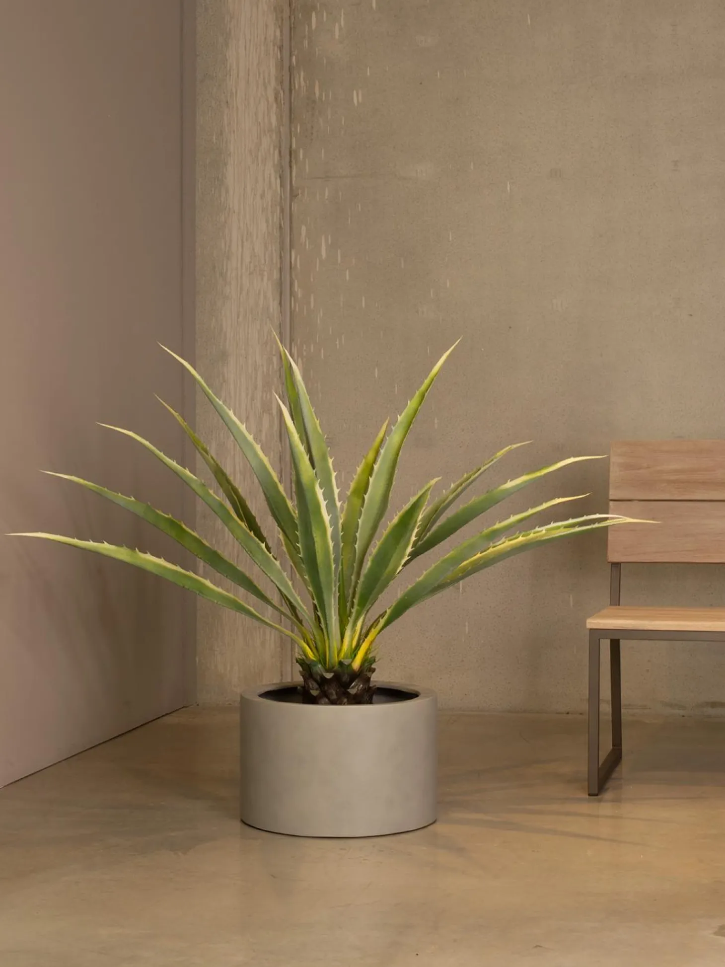 Fleur Ami Division Lite Blumenkübel steingrau Ø 48 cm, Höhe 30 cm