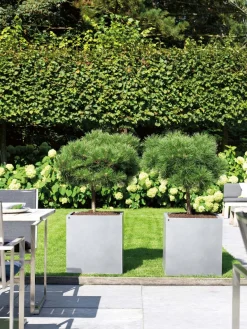 Fleur Ami Division Lite Pflanzwürfel - witterungsbeständig steingrau 50 x 50 x 54 cm