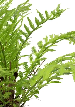 Fleur Ami Farn Kunstpflanze, 90 cm