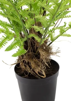 Fleur Ami Farn Kunstpflanze, 90 cm