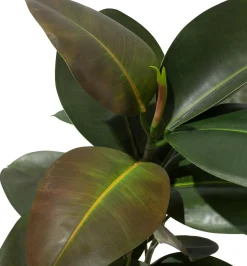 Fleur Ami Ficus Elastica Kunstpflanze 95 cm
