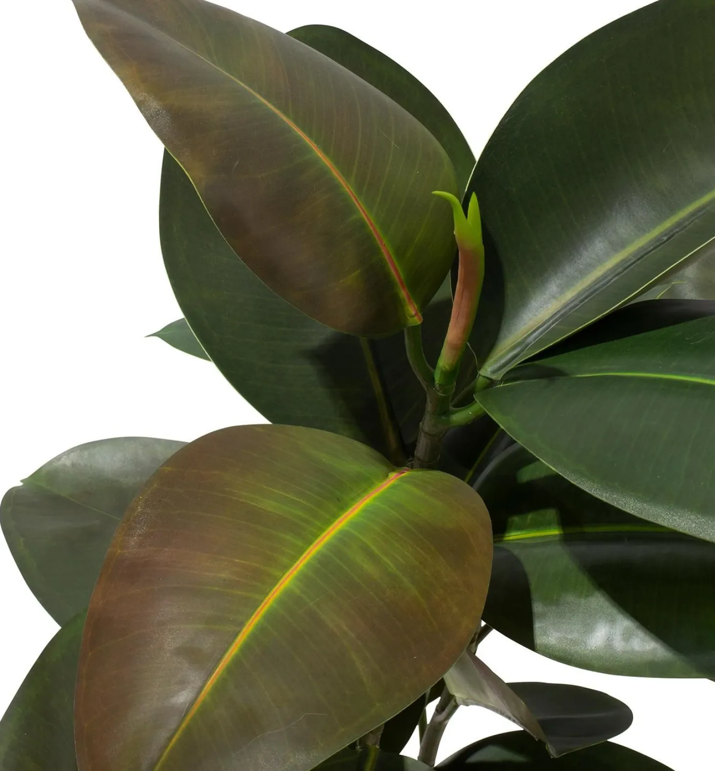 Fleur Ami Ficus Elastica Kunstpflanze 95 cm