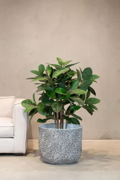 Fleur Ami Ficus Elastica Kunstpflanze 95 cm