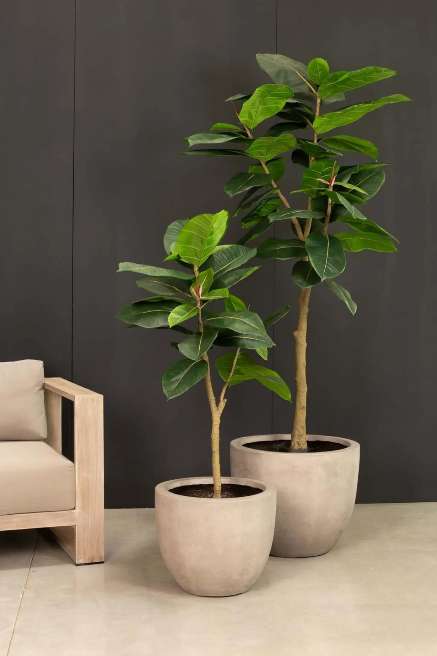 Fleur Ami Ficus Elastica - künstlicher Gummibaum 150 cm
