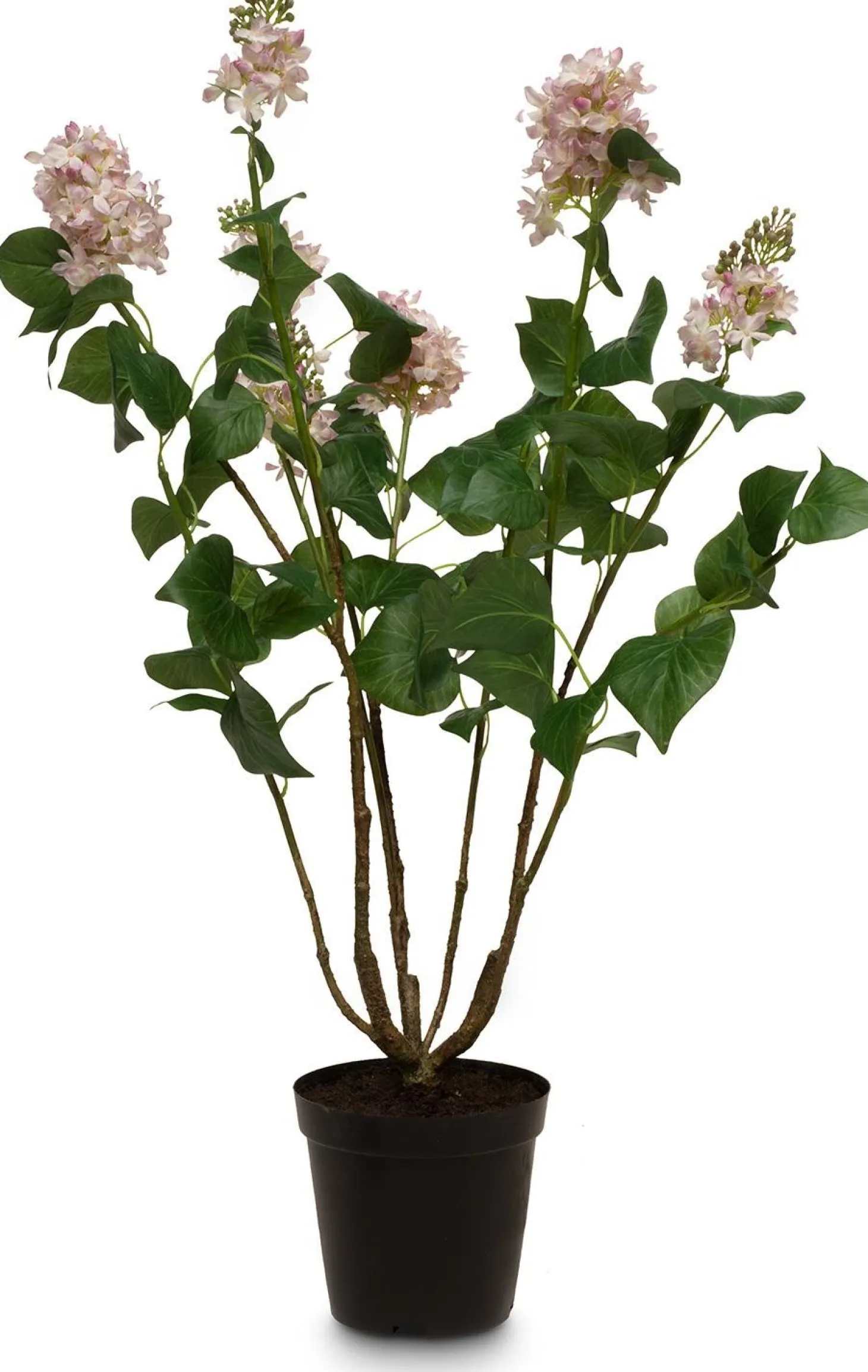 Fleur Ami Flieder (Syringa) Kunstpflanze Höhe 79 cm