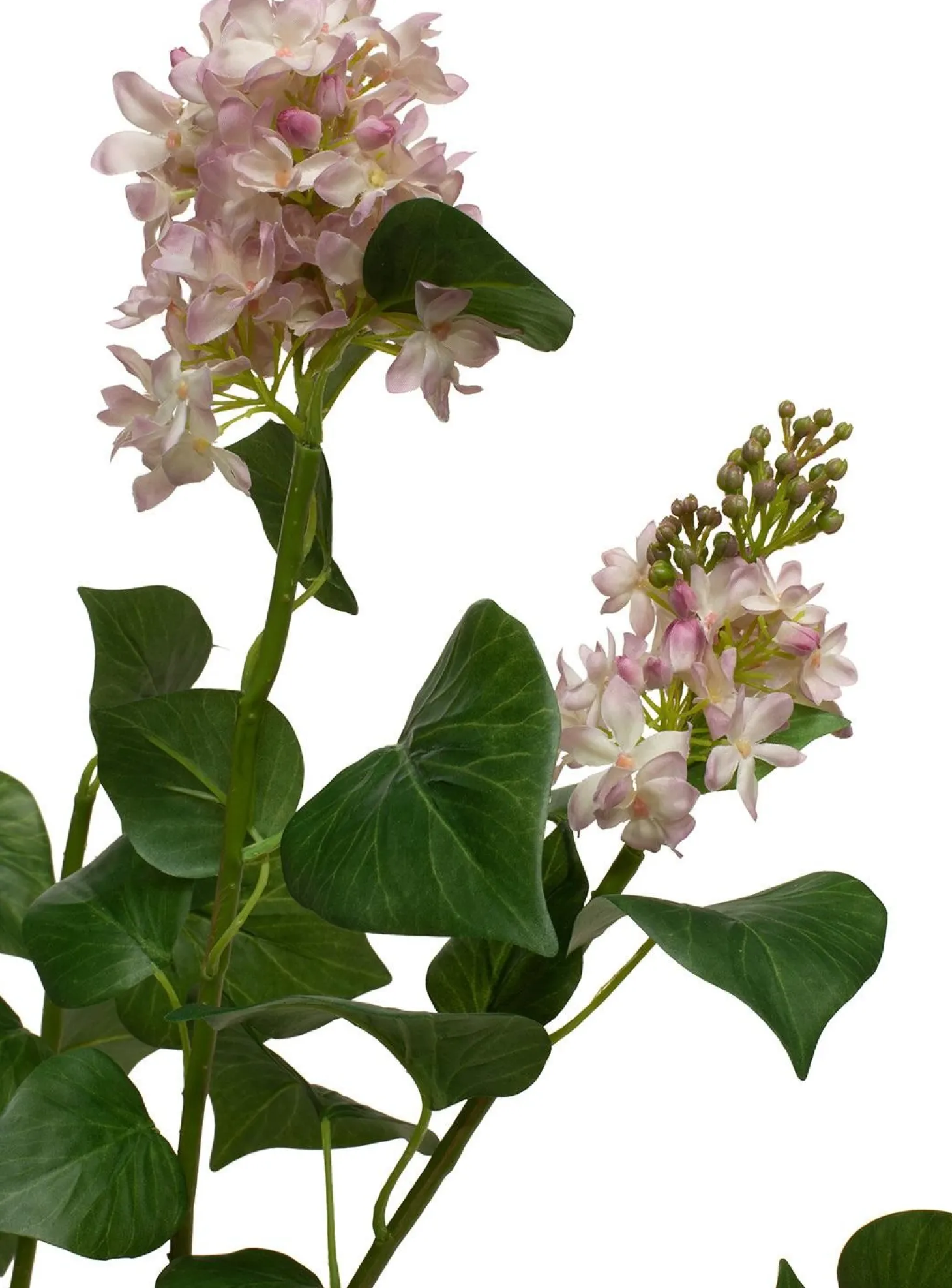Fleur Ami Flieder (Syringa) Kunstpflanze Höhe 79 cm