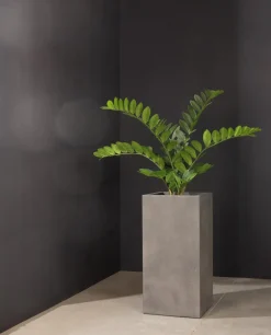 Fleur Ami Glücksfeder Zamioculcas Kunstpflanze violett 60 cm