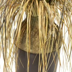 Fleur Ami Gras - Calibanus hookeri - Kunstpflanze