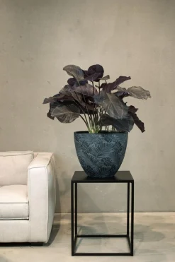 Fleur Ami Hochwertige Calathea - Korbmarante Kunstpflanze grün