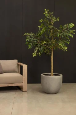 Fleur Ami Hochwertiger Birkenfeigenbaum - künstlich