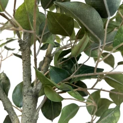 Fleur Ami Hochwertiger Birkenfeigenbaum - künstlich