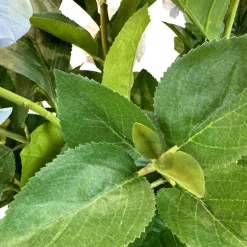 Fleur Ami Hortensie - Hydrangea Kunstpflanze, 10 Blüten, Höhe 73 cm, weiß-blau