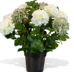Fleur Ami Hortensie - Hydrangea Kunstpflanze, 10 Blüten, Höhe 73 cm, weiß-grün