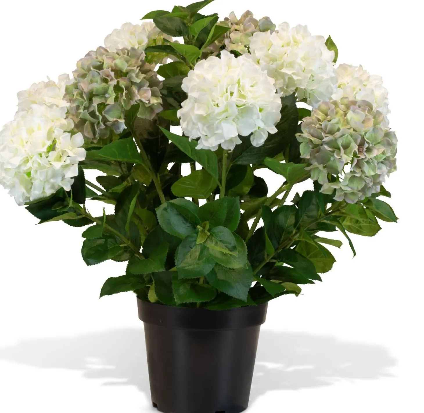 Fleur Ami Hortensie - Hydrangea Kunstpflanze, 10 Blüten, Höhe 73 cm, weiß-grün