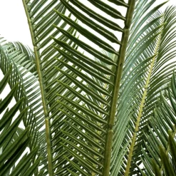 Fleur Ami Japanischer Sagopalmfarn - cycas revoluta Kunstpflanze, 64 cm
