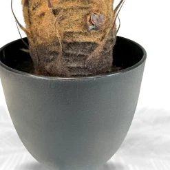 Fleur Ami Japanischer Sagopalmfarn - cycas revoluta Kunstpflanze, 64 cm