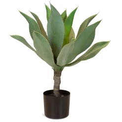 Fleur Ami Künstliche Aloe Vera Pflanze