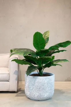 Fleur Ami Künstliche Einblatt - Spathiphyllum Pflanze