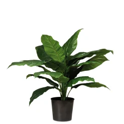 Fleur Ami Künstliche Einblatt - Spathiphyllum Pflanze
