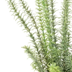 Fleur Ami Künstliche Rosmarinpflanze