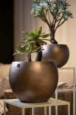 Fleur Ami Künstliche Sukkulente auf Stamm