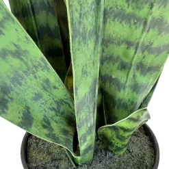 Fleur Ami Künstlicher Ceylon-Bogenhanf - Sansevieria trifasciata 94 cm