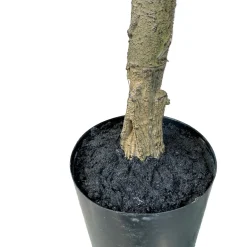 Fleur Ami Künstlicher Geigenfeigenbaum - Ficus Lyrata 120 cm