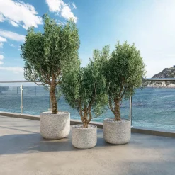 Fleur Ami Petal Pflanzgefäß mit Blütenblatt-Struktur Ø 37 cm, Höhe 30 cm anthrazit