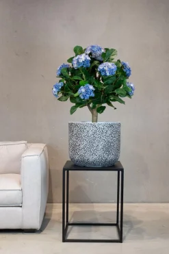 Fleur Ami Petal Pflanzgefäß mit Blütenblatt-Struktur Ø 37 cm, Höhe 30 cm anthrazit