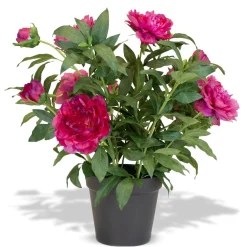 Fleur Ami Pfingstrosen - Paeonia Kunstpflanze pink