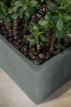 Fleur Ami Polystone Divide Pflanzkasten mit Stein-Look anthrazit