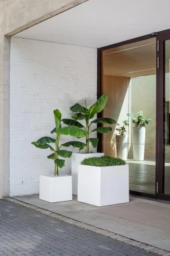 Fleur Ami Premium Pflanzwürfel hochglanzpoliert 50 cm schwarz