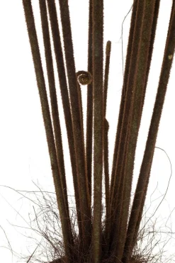 Fleur Ami Riesenfarn Kunstpflanze 185 cm