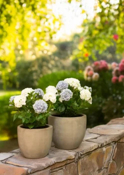 Fleur Ami Roccastone mattes Bodengefäß Classic aus Beton Ø 45 cm, Höhe 38 cm anthrazit