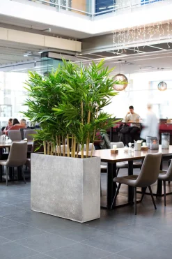 Fleur Ami Roccastone Raumteiler für moderne Gartengestaltung 60 cm natur beton