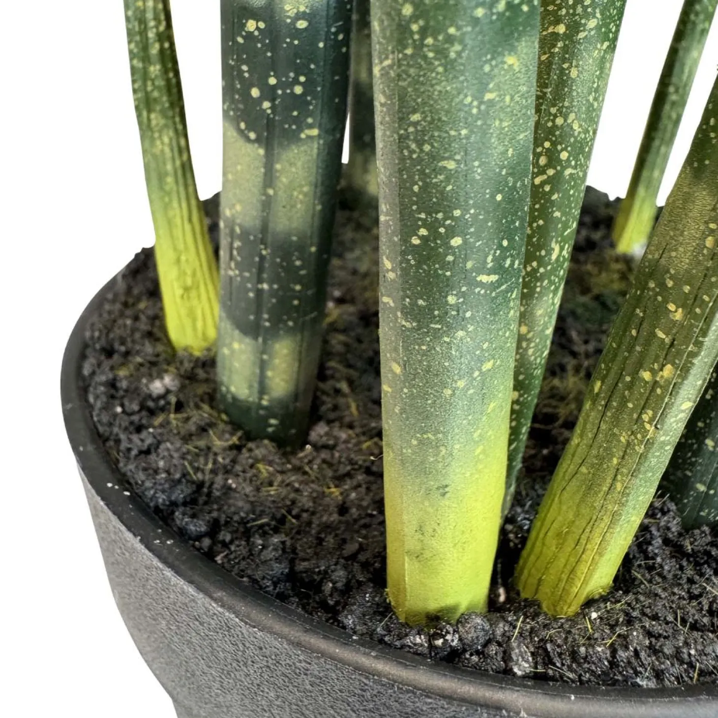Fleur Ami Sansevieria cylindrica - Zylindrischer Bogenhanf Kunstpflanze