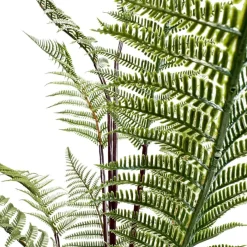 Fleur Ami Schwertfarn - Nephrolepis exaltata Kunstpflanze, UV Stabil